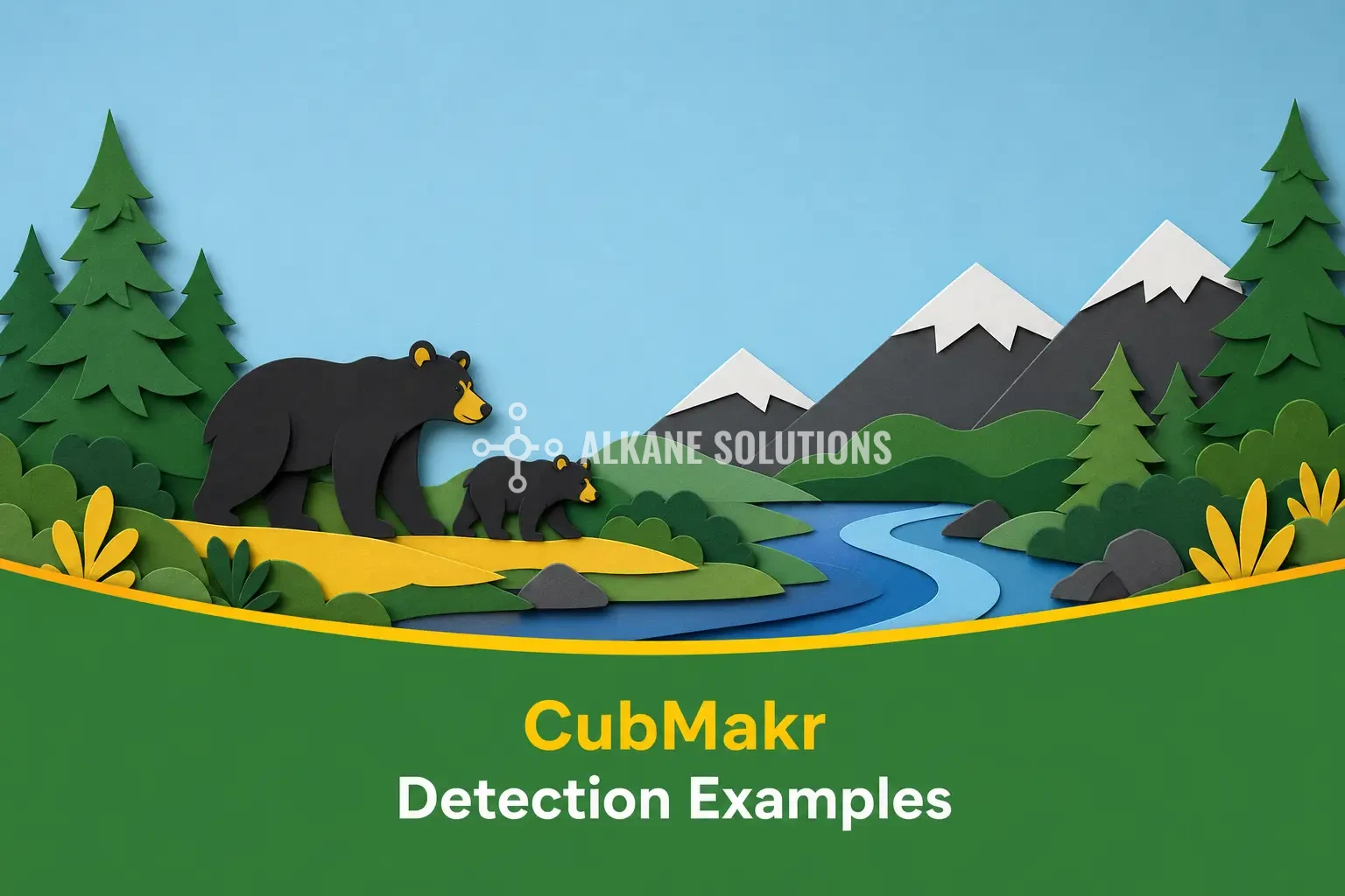 CubMakr Detection Examples
