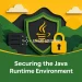 Securing the Java Runtime Environment