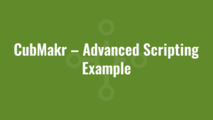 CubMakr – Advanced Scripting Example