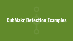 CubMakr Detection Examples