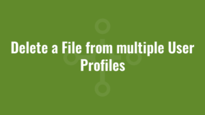 Delete a File from multiple User Profiles