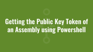 Getting the Public Key Token of an Assembly using Powershell