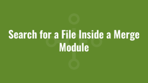 Search for a File Inside a Merge Module