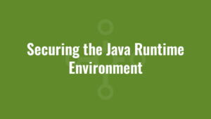 Securing the Java Runtime Environment