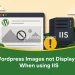 Wordpress Images not Displaying When using IIS